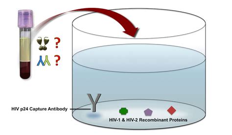 hiv 1 non reactive result|Technical Update for HIV Nucleic Acid Tests Approved for Diagnostic.